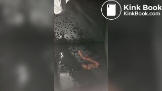 Wife pisses on her shit and car seat