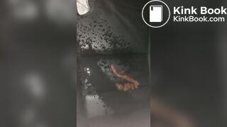 Wife pisses on her shit and car seat