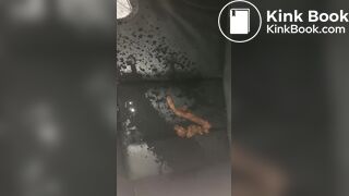 Wife pisses on her shit and car seat