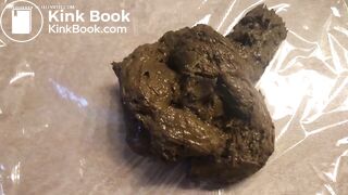 Scat with Crotchless panties