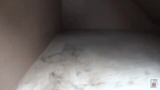 japanese poop - video 35