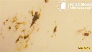 полные девушки какают 15