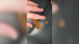 Smearing wife’s shit on my car seats