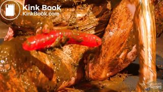 Betty stuffs her pussy with cow shit