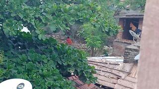 Another aunty shitting