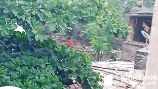 Another aunty shitting