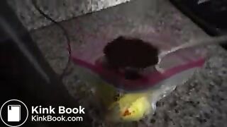 Laxative prank - video 5