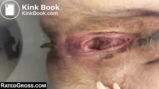 Woman with a hairy pussy pooping in the toilet
