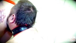 Toilet pig - video 2