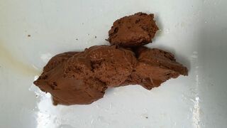 Shitting in my bathtub.