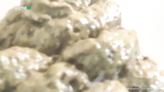 Pawgs soft poop inspection