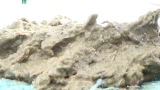 Pawgs soft poop inspection