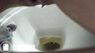 Poop into toilet 3