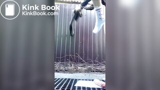 Great shit - video 36