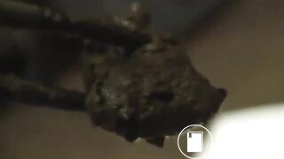 C*U*N-001] Post Feces Diary Post Scat