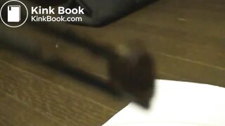 C*U*N-001] Post Feces Diary Post Scat