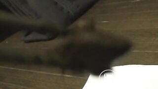 C*U*N-001] Post Feces Diary Post Scat