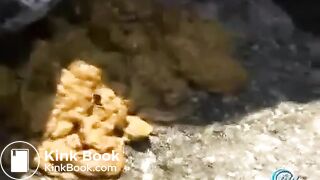 ＯＬが外出中にトイレ我慢できずに野下痢