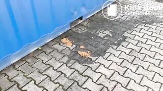 Blond Woman Shits Off A Storage Container