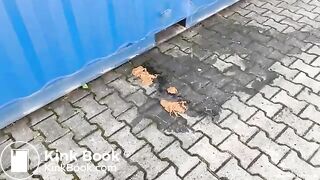 Blond Woman Shits Off A Storage Container