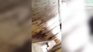 chinese voyeur poop 2