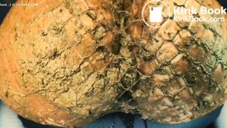 Pawg shits her fishnets