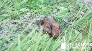 I would really like to lick her clean