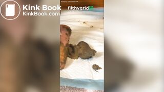 Pawgs fun with feces