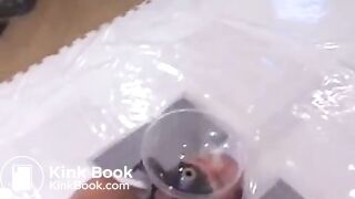 Japanese girls shit directly in your mouth.