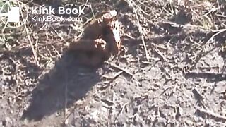 Public pooping - Blonde on the road