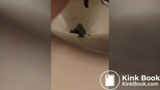 Japanese twitter pooper