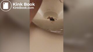 Japanese twitter pooper