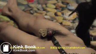 chinese scat 1 - video 16