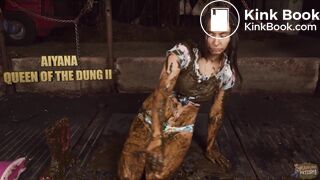 Valentines Day sale 35 % on every cow and horse shit video