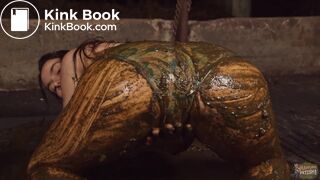 Valentines Day sale 35 % on every cow and horse shit video