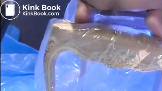 Probably Porno (BDSM Beauties)...