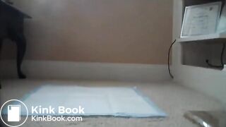 Little Amateur pees and shits at home