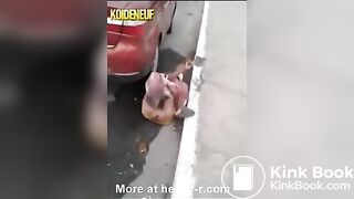 Woman pooping gets knocked over