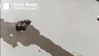 Yoga girl pooping - video 2