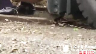 Japanese girl pooping44