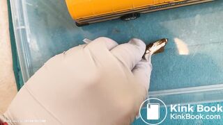 Giant verbally physically plays with bus (scat)