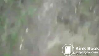 Shitting Outside in the Woods