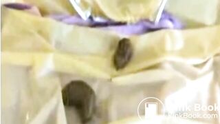 FUN IN PLASTIC PANTS