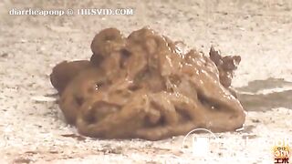 public poop - video 8