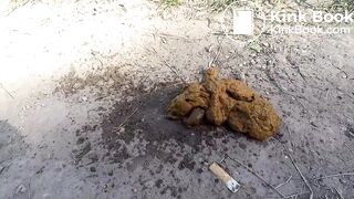 scatdesire – Railroad Destruction