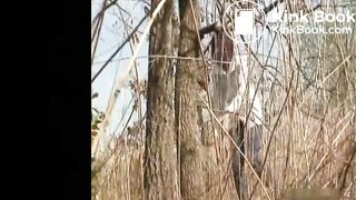 Voyeur spies on girll shitting in tall grass