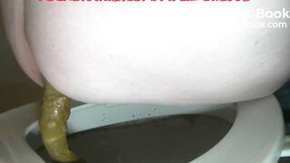 Dropping A Giant Log Over The Toilet