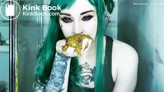 Pawgs rapid fire feces