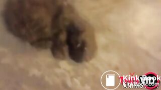 ƸϦ⊘ƞƴ_⋝⋝ɃɃƜ_⋝⊑AT ୧| ͡ᵔ ﹏ ͡ᵔ |୨