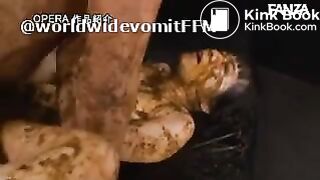 Fecal Bondage Research Institute Highlights vol. 2